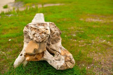Eski budak, denizin kenarında çim üzerinde yalan.