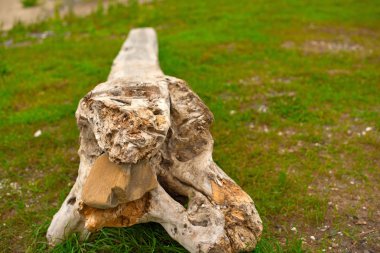 Eski budak, denizin kenarında çim üzerinde yalan.