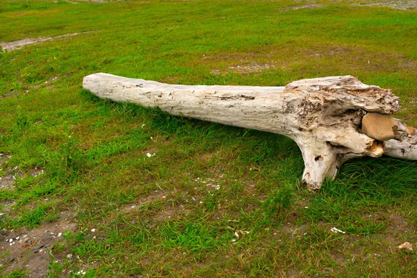 Eski budak, denizin kenarında çim üzerinde yalan.