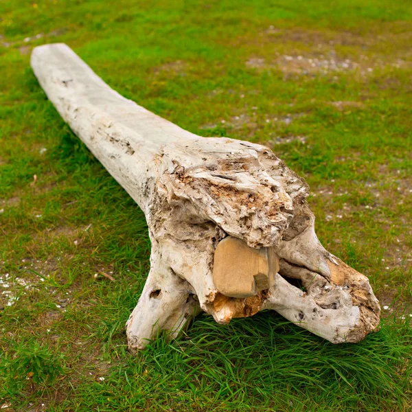 Eski budak, denizin kenarında çim üzerinde yalan.