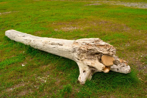 Eski budak, denizin kenarında çim üzerinde yalan.