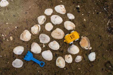 Çocuklar ve bir deniz kabuğu kuma için oyuncaklar.
