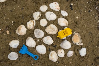 Çocuklar ve bir deniz kabuğu kuma için oyuncaklar.