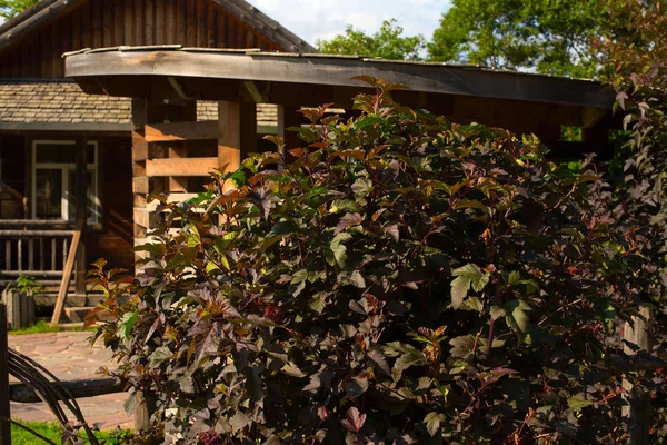 Ağaçlar, çalılar ve çiçekler arasında kır evi.