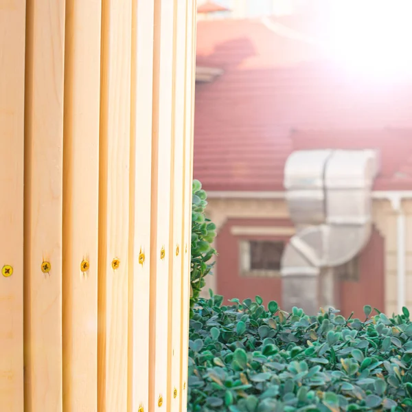 Bulanık doğal ahşap arka plan tüm arka plan manzara.