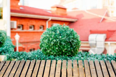 Bulanık doğal ahşap arka plan tüm arka plan manzara.