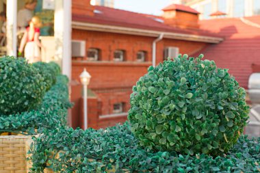 Güzel cityscape penceresi çatı İnşaat.