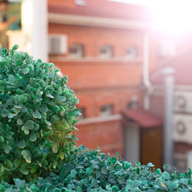 Güzel cityscape penceresi çatı İnşaat.