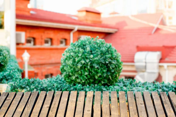 Bulanık doğal ahşap arka plan tüm arka plan manzara.