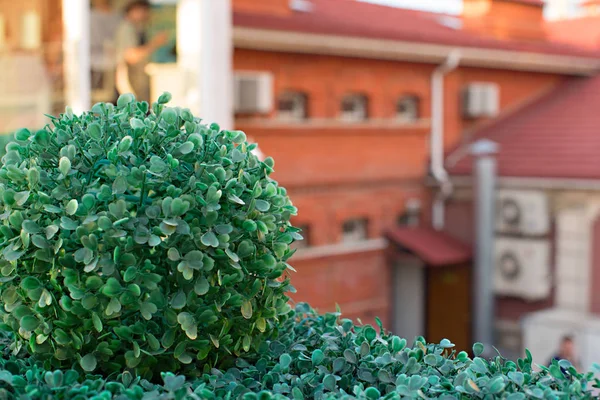 Güzel cityscape penceresi çatı İnşaat.