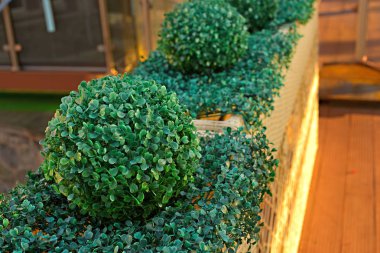 Dekoratif çiçek yatak dekor kafe iç.