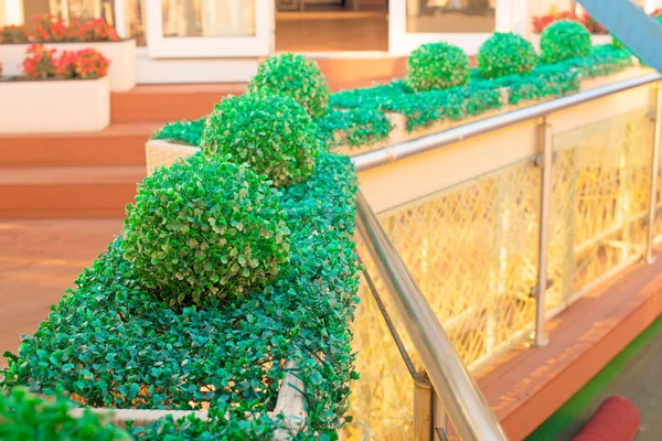 Korkuluk sundurma yaz kafe süs bitkileri.