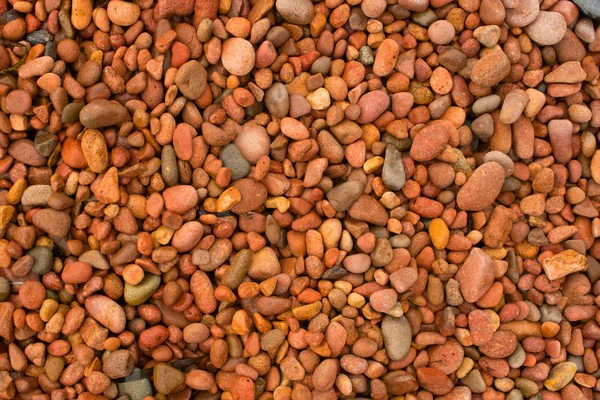 Deniz çakıl kırmızı doğal arka plan.