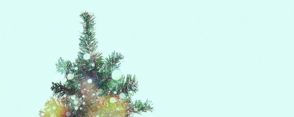 Bir tencerede afiş dekoratif Noel ağacı. — Stok fotoğraf