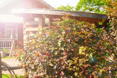 Güzel cityscape penceresi çatı İnşaat.
