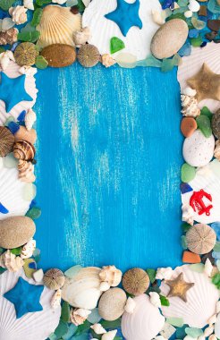 Metin için deniz kabuğu dekoratif çerçeve yer ayarla. Düz görünüm