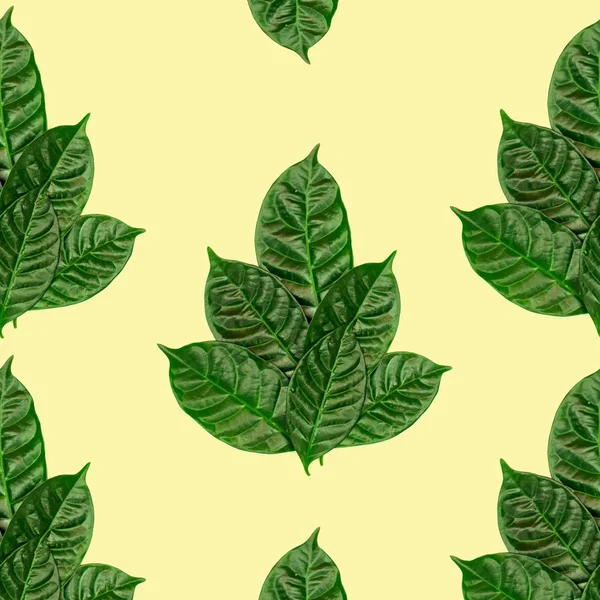 ポスター トーン黄色の背景に緑の葉の自然な背景パターン フラット レイアウト平面図 — ストック写真