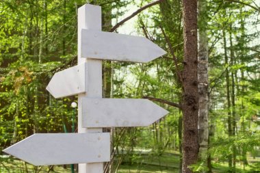 Eski ahşap tabelasını parkta. Doğal arka plan tonlama kızdırma