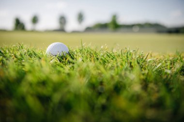 Golf ball on grass clipart