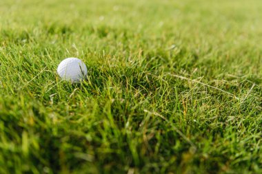Çimlerin üzerinde golf topu