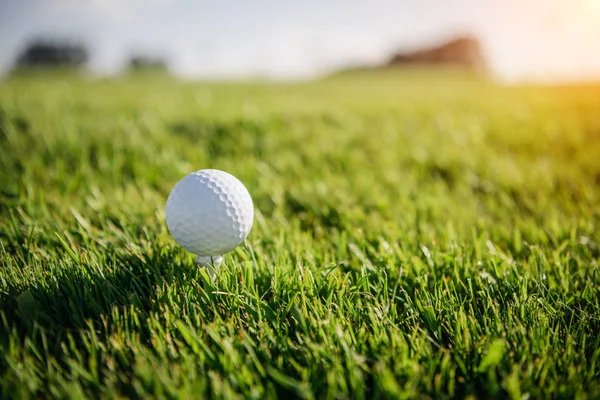 Golf ball on grass — Stock Photo, Image