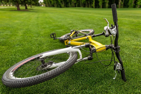 Sport fiets op gras — Gratis stockfoto