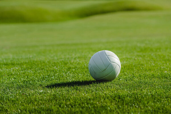 Leather ball on lawn