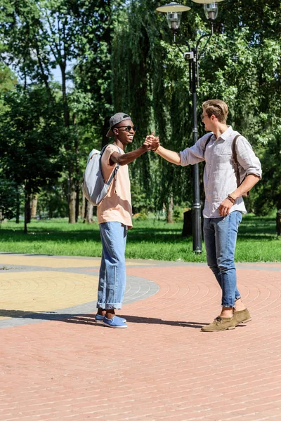 Multicultural men walking in park — Free Stock Photo