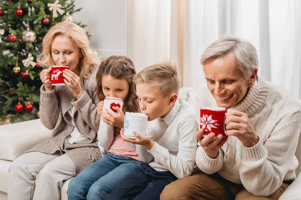 クリスマスを祝う幸せな家族 — ストック写真