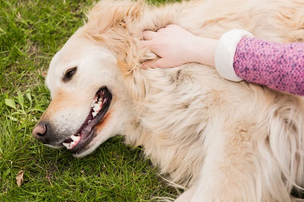 Criança brincando com cão — Fotografia de Stock