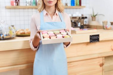 Garson holding tanımlama bilgileri 