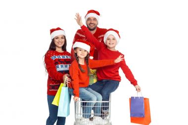 Aile ile Noel, alışveriş sepeti
