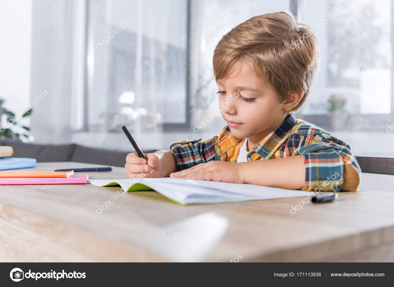 what is essay in literature music