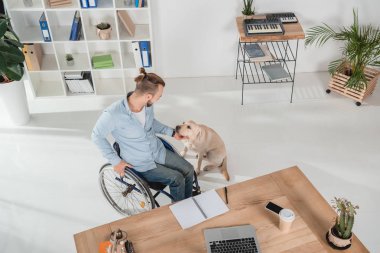 Adam köpeğini sevişme tekerlekli sandalye üzerinde
