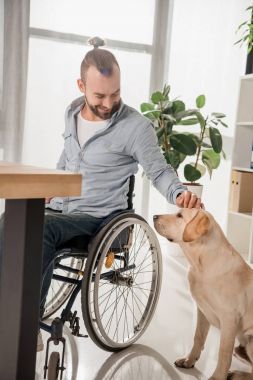 Adam köpeğini sevişme tekerlekli sandalye üzerinde