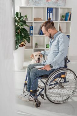 Adam köpeğini sevişme tekerlekli sandalye üzerinde