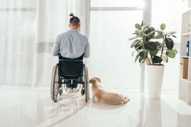 adam tekerlekli sandalye ve köpeği