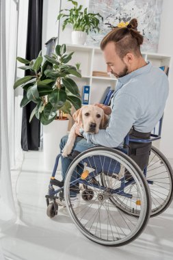 Adam köpeğini sevişme tekerlekli sandalye üzerinde