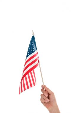 El ele tutuşan Amerikan bayrağı