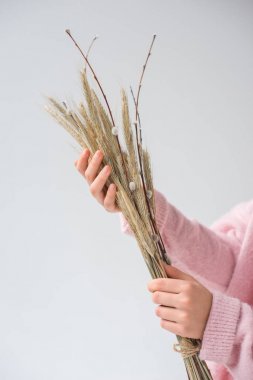 willow ağaç dalları ve izole gri üzerine spikelets grup tutan kadın kırpılmış görüntü 