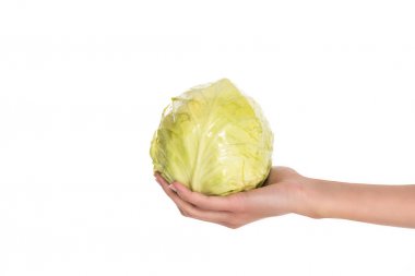 partial view of woman holding fresh cabbage in hand isolated on white clipart