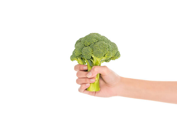close-up partial view of female hand holding fresh organic broccoli isolated on white