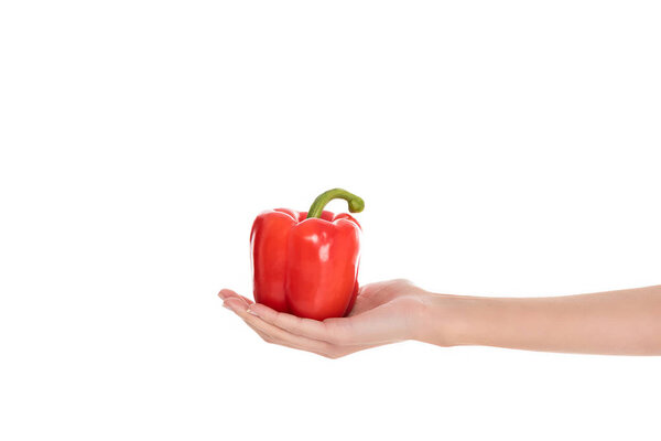 cropped shot of woman holding bell pepper in hand isolated on white