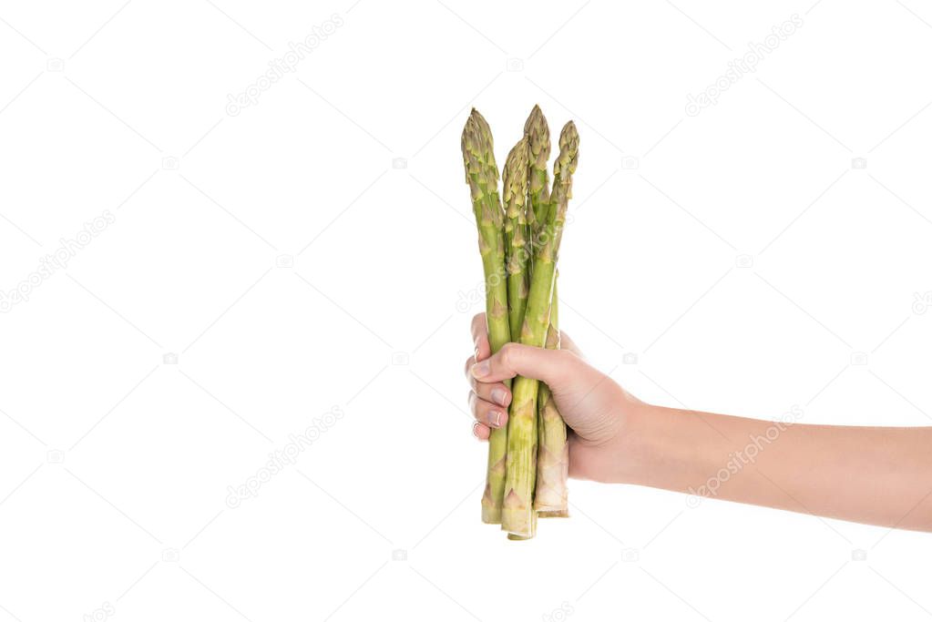 cropped shot of woman holding raw asparagus in hand isolated on white