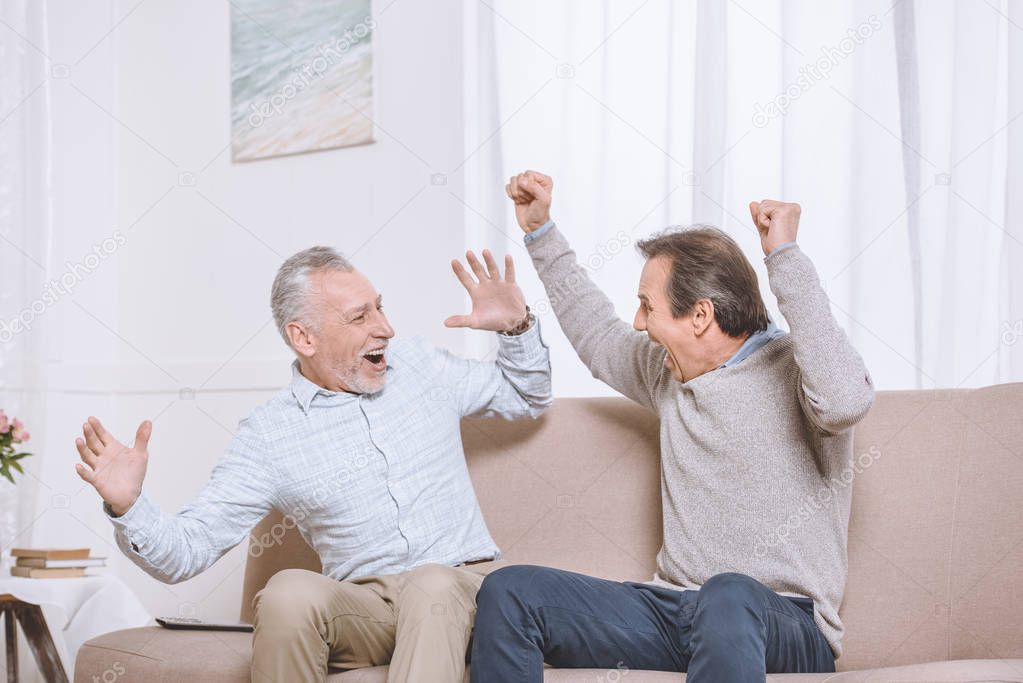 Two happy adult men sitting on sofa and celebrating elated in light living room