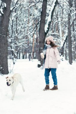 labrador köpek kış Park olan mutlu kadın