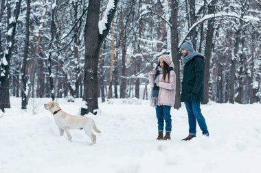 karlı kış Park'ta yürüyordunuz köpek ile genç Çift