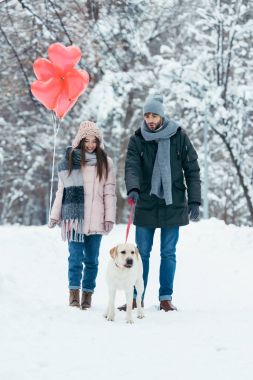 Genç çift ile kalp balonlar ve karlı kış Park'ta yürüyordunuz köpek şeklinde
