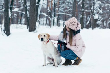 labrador köpek kış Park olan kadın