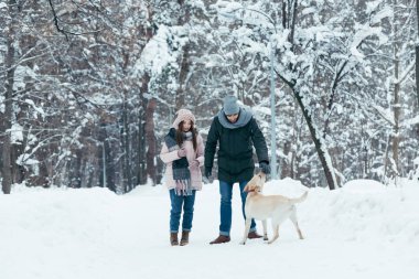 Genç çift köpek kış Park ile birlikte eğleniyor